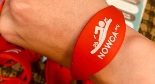 wristband (2) wristband (2)